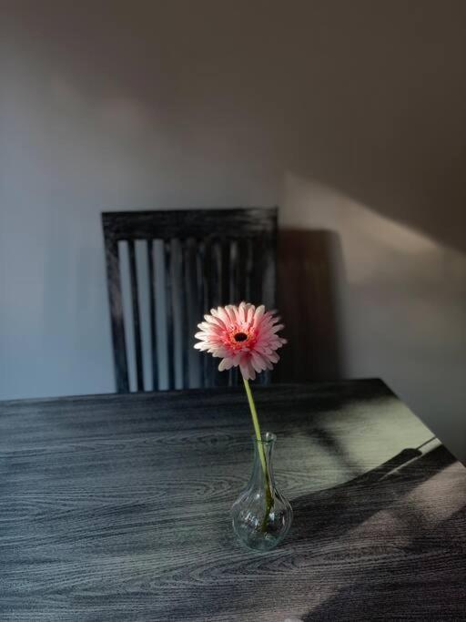 Hermoso Departamento En Coyoacan Мексико Сити Екстериор снимка