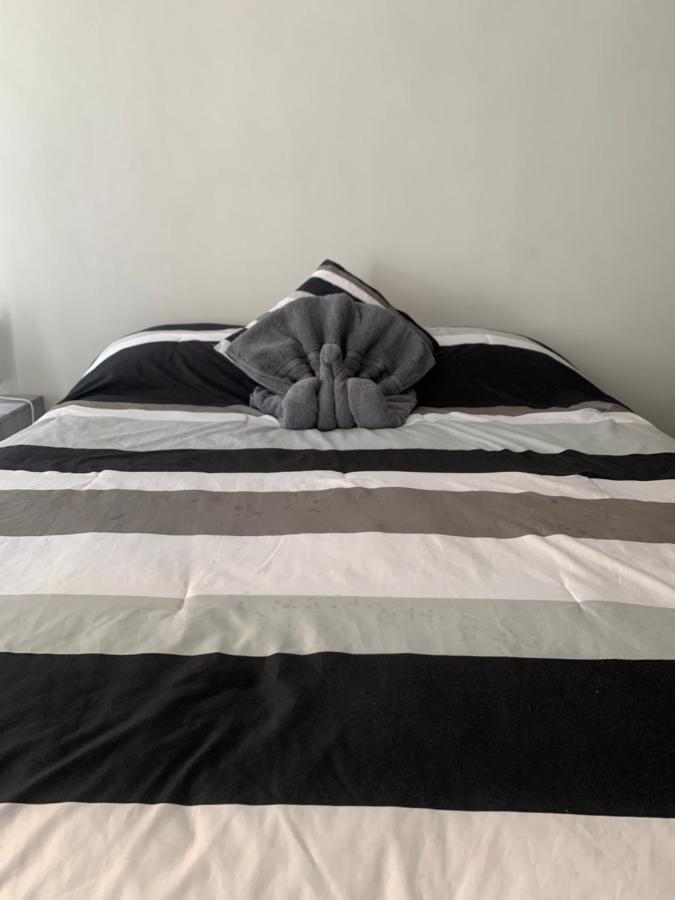 Hermoso Departamento En Coyoacan Мексико Сити Екстериор снимка